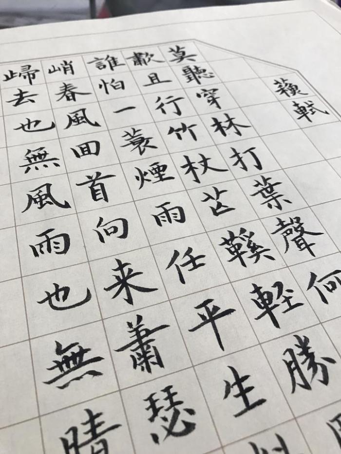 苏东坡人生最难的一句话,苏东坡人生难得几时闲