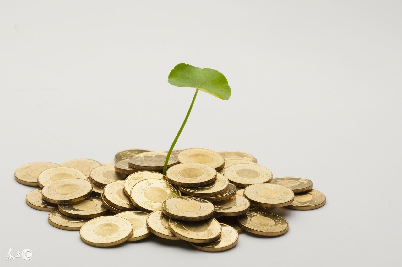 为财富自由而努力,财富自由之路自己做决定