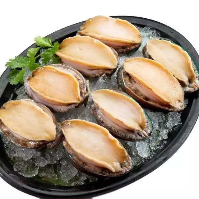 为什么大连海鲜出名营口海鲜呢,大连海鲜和青岛海鲜的区别