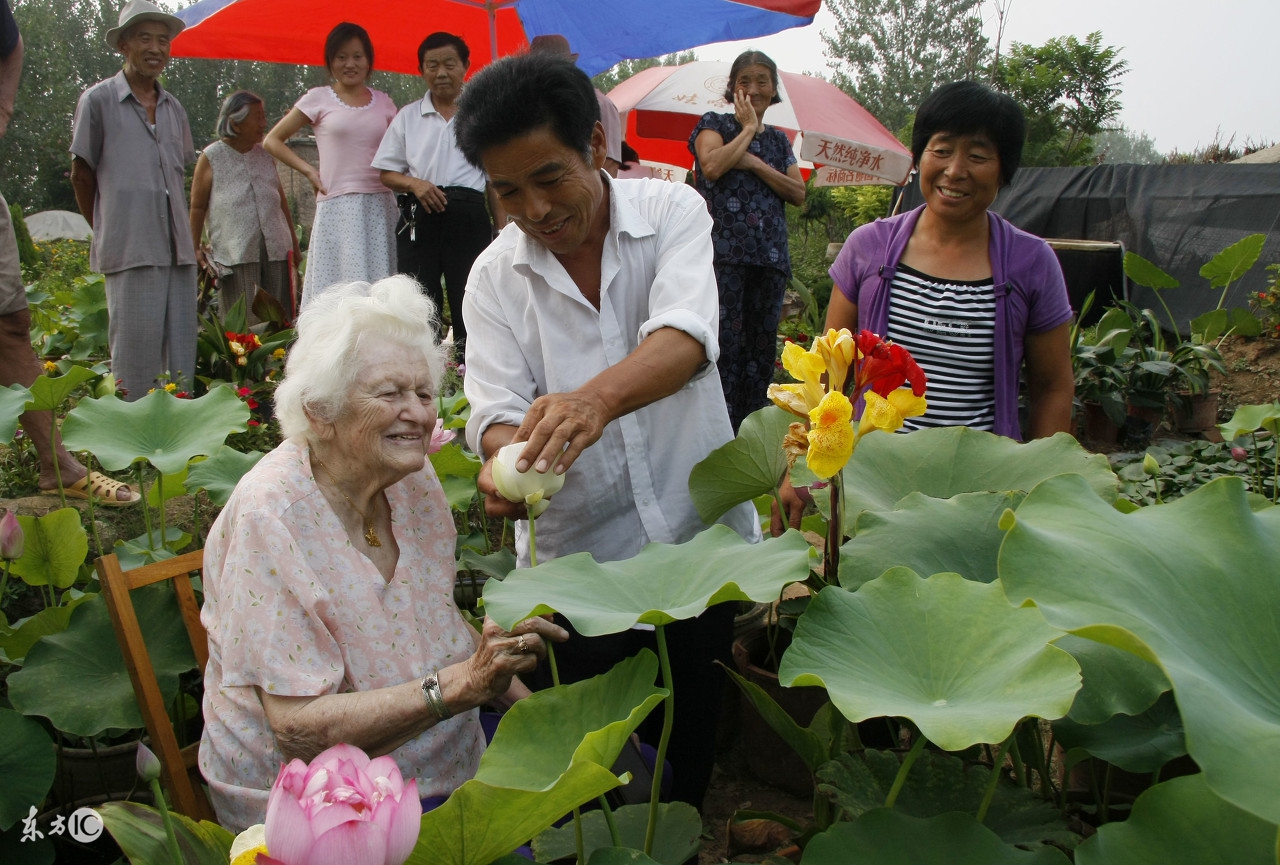 脑萎缩要怎么预防,预防脑萎缩可以适量食用哪些食物