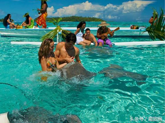 高更最后的大溪地,高更经历