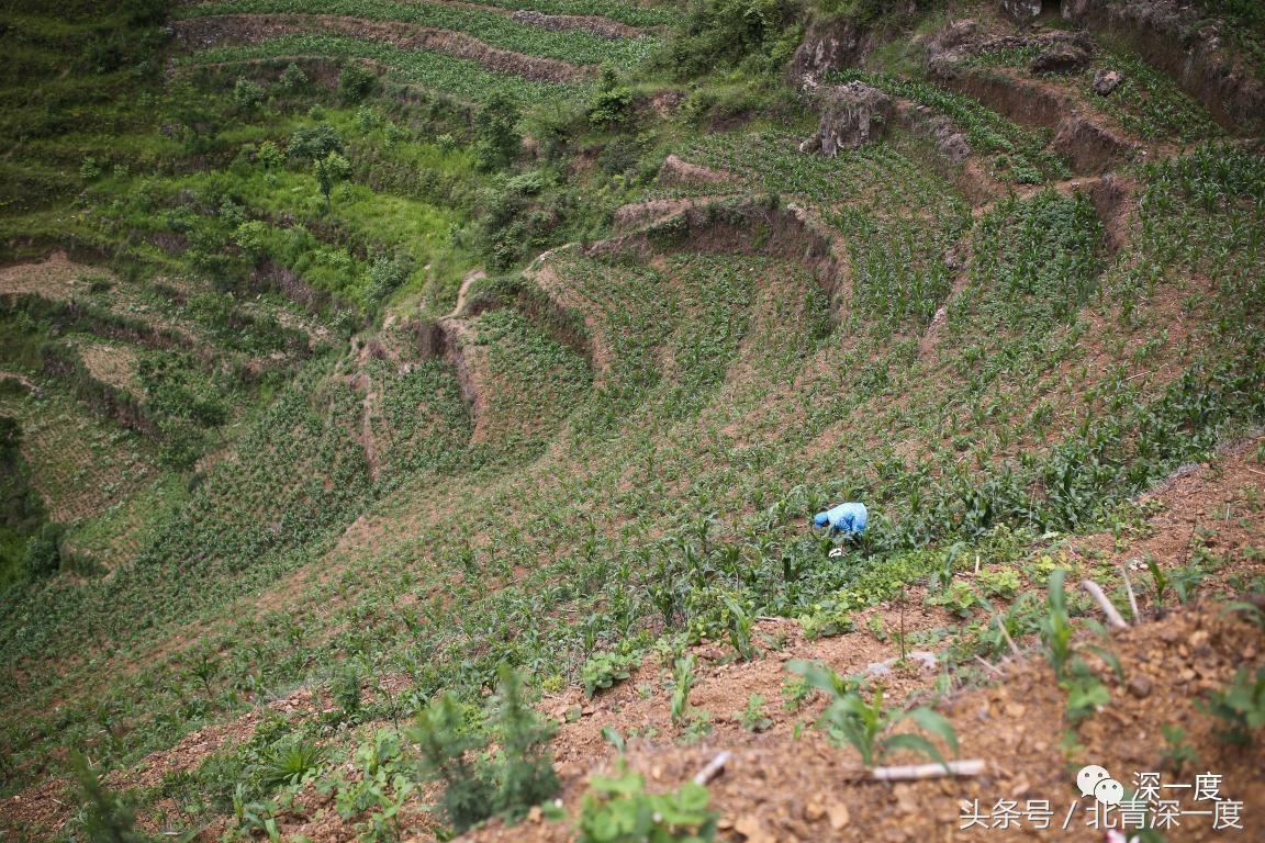 “鹿晗”在泥坑，妈妈在远方，你习以为常的幸福对他们却遥不可及