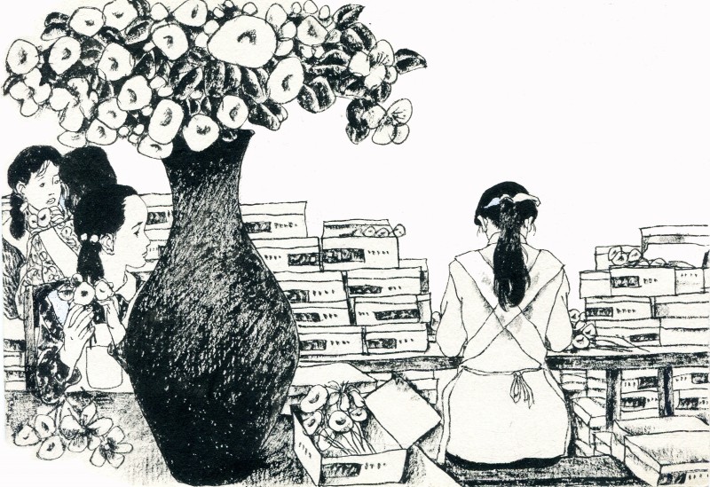 名家名绘四大名著连环画,黑白彩色系列连环画第二季