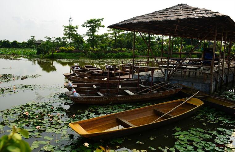 广州长隆万圣节游玩攻略,2021年广州长隆万圣节游玩攻略