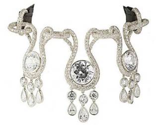 精致猫咪必备品有哪些种类,这几种猫咪养得起的都是土豪