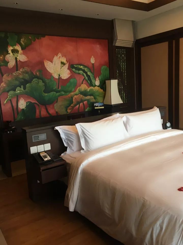 大连包机飞三亚,大连包机直飞