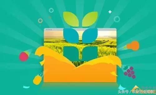 专访|农发贷CEO杨世华:供应链金融或能破解农村金融征信缺失难题