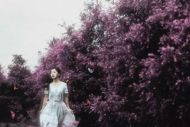 花季怎么拍好看,自由浪漫的人像照片