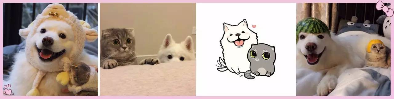 盘点那些不露脸长得很好看的网红,那些头像丑到爆的网红