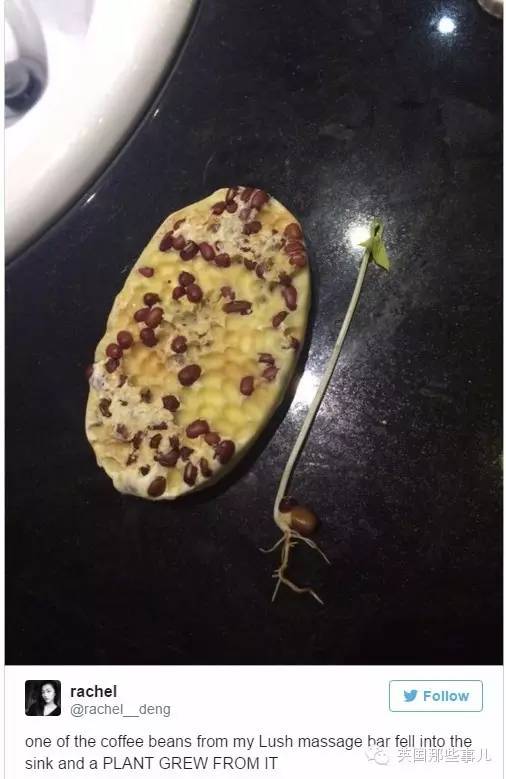 自从这公司出了款带豆子的按摩皂...英国人澡堂开始不对了...