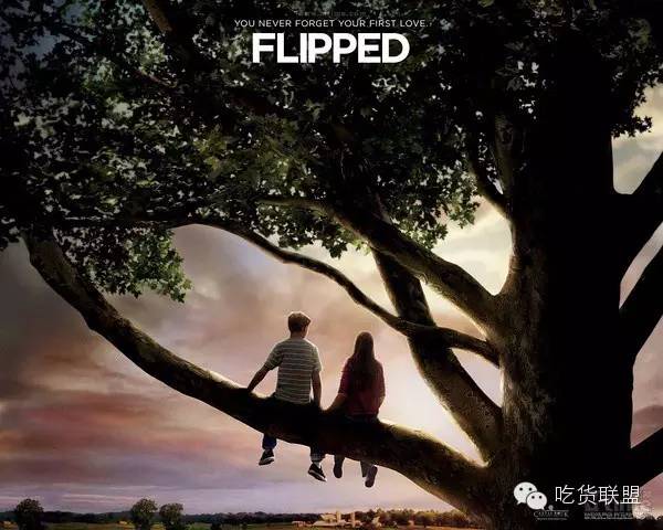 16部结局“很意外+很美好”的必看电影，你都看了哪些?