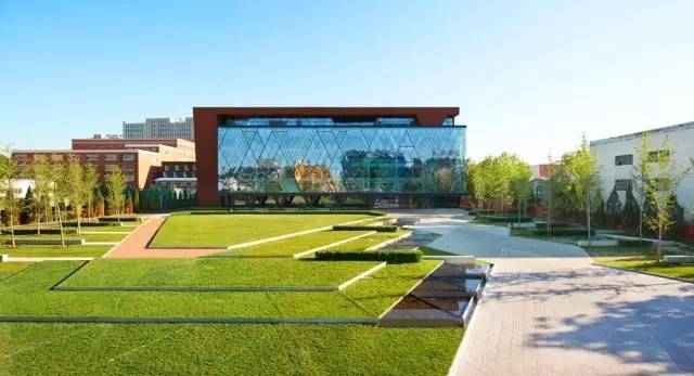 好的景观草坪,天然草坪推荐