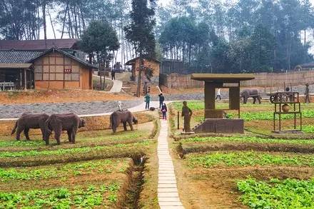 成都周边避暑的冷门景点排名榜单,成都周边比较凉快的景点