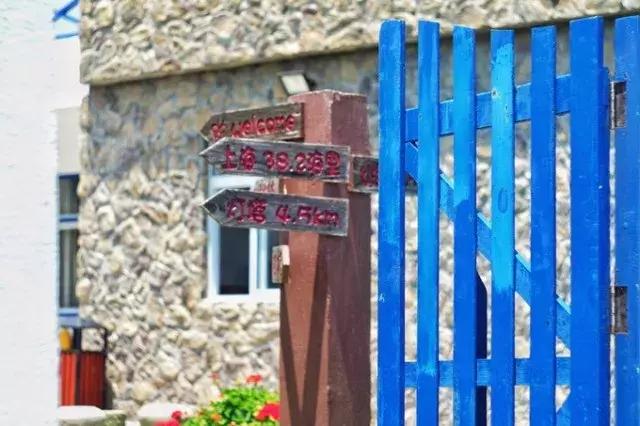 花鸟岛海岛游,花鸟岛海岛旅游