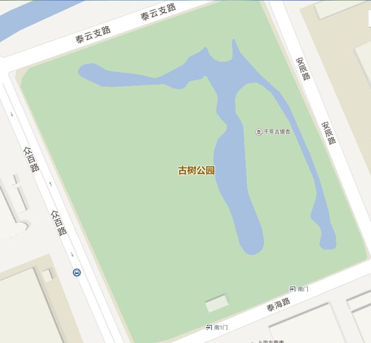 上海1200岁树王,上海树王老照片