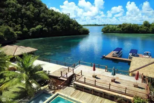 骨灰级海岛自由行签证,骨灰级干货史上最全海岛签证汇总