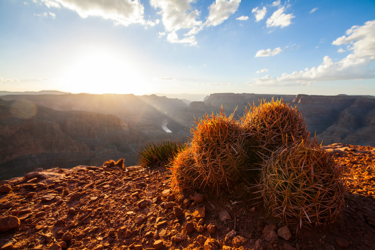 美国西海岸7天自驾游,西海岸周边自驾游推荐