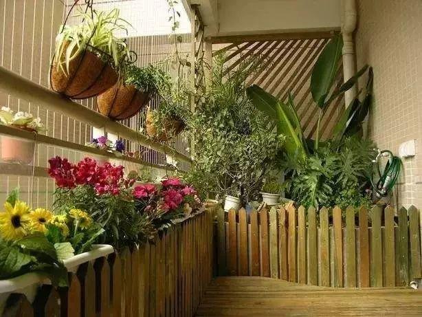 如何把小户型阳台改造成小花园,如何把露天阳台设计成花园