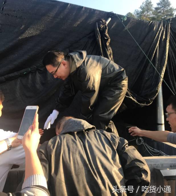 驱车4小时，终于品尝到传说中的“鱼子酱”！带你深挖背后的故事