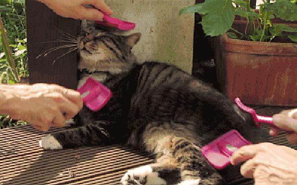 为了让你撸的更爽，日本人造了这个小东西！