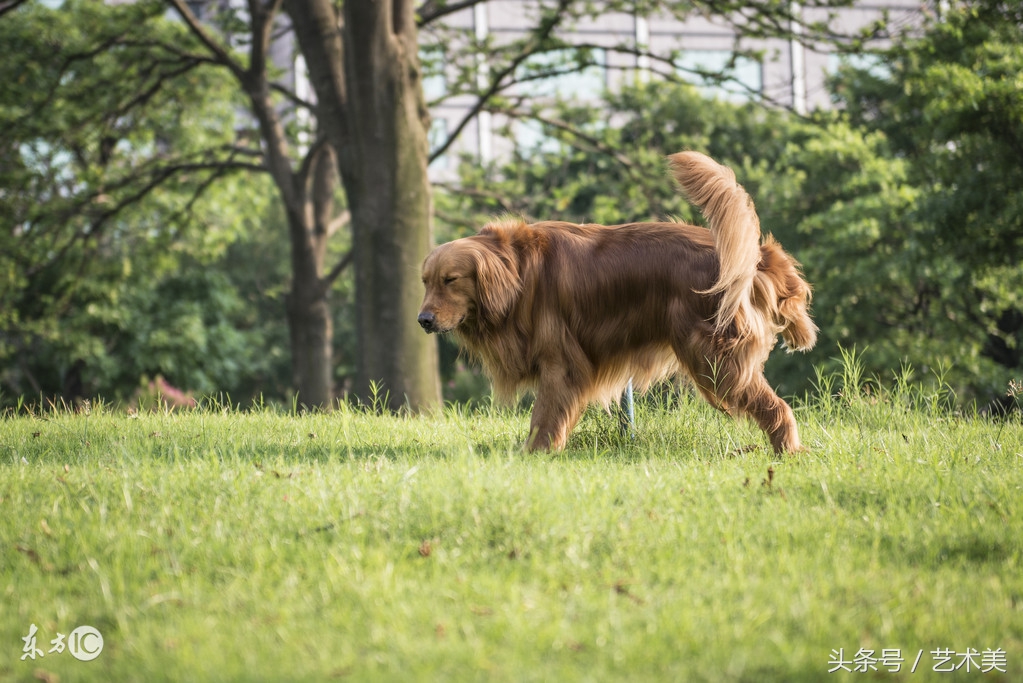 老想小便是怎么回事5种因素导致尿频现象