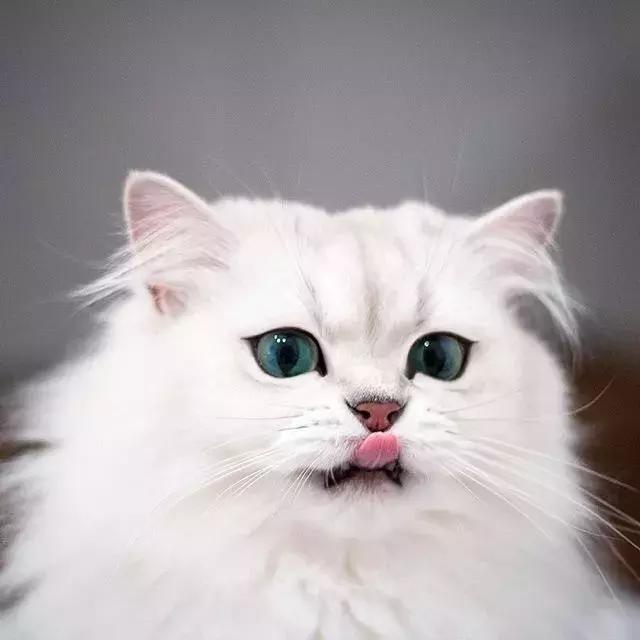 妈妈从小就教我不会说话就闭嘴,妈妈从小就教我不要乱动别人东西