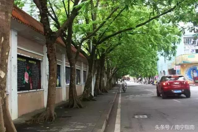 你好南宁纪录片,南宁师范大学介绍