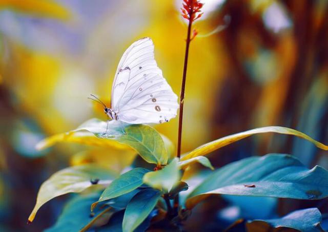 如何应对职场老油条的调侃,职场容易得罪领导的五句话