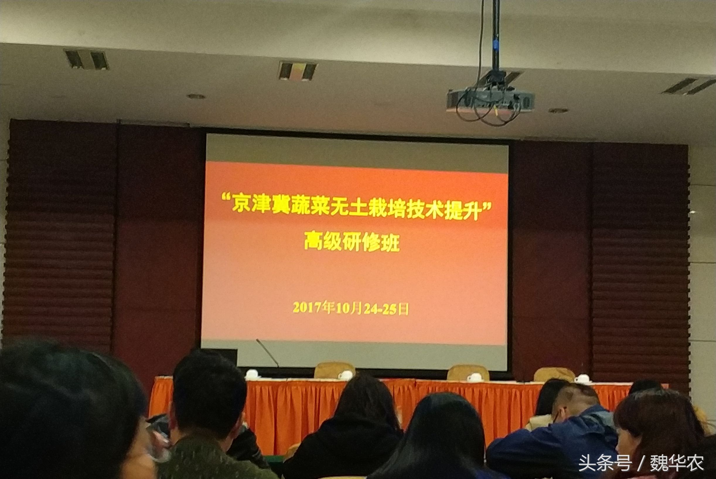 无土栽培家庭蔬菜种植方案怎么写,潮汐虹吸无土栽培蔬菜技术视频