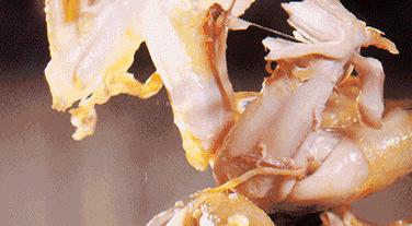 只有简单材料怎么做鸡肉,只需一种调料就能做的美味料理