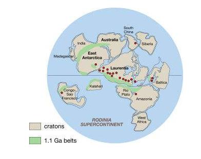 蓝藻是在地球初期什么时候形成的,地球第一个生命体蓝藻
