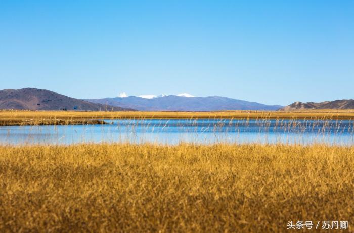 老司机眼中的西藏精髓,老司机西藏旅游