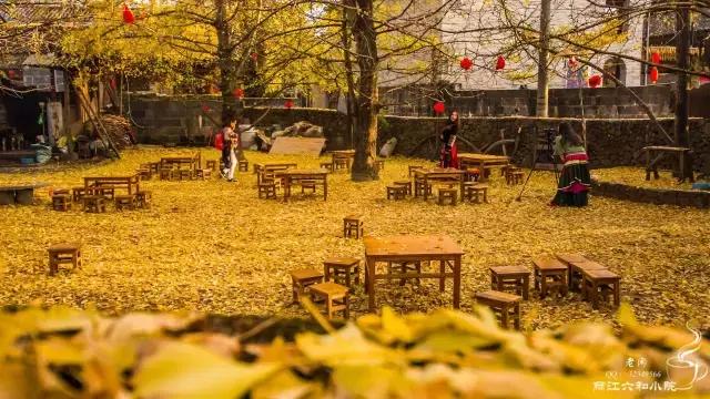 11月国内最值得去的景点,推荐七月国内最佳旅行目的地