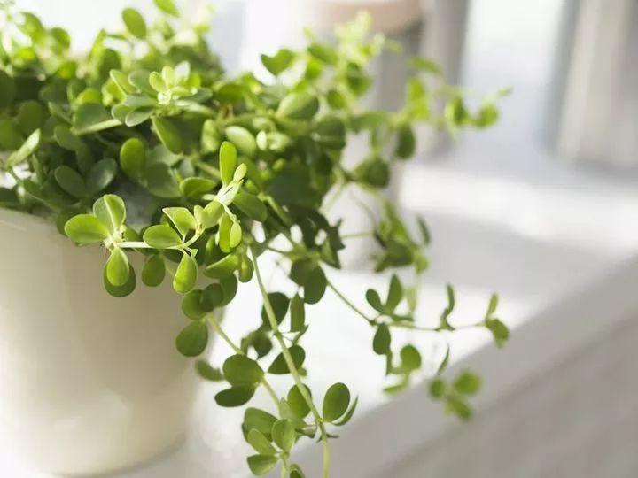 深水爆破的小说,小说谍战深海第三部