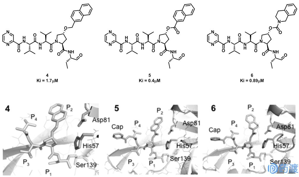 明星药物的开发与利用,明星药物