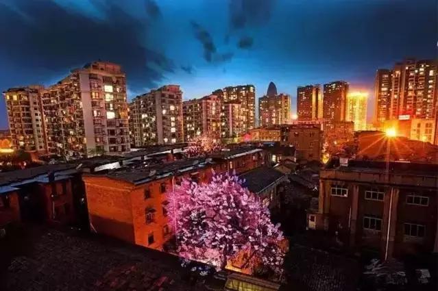 从白昼到黑夜，爱上宜昌的24小时