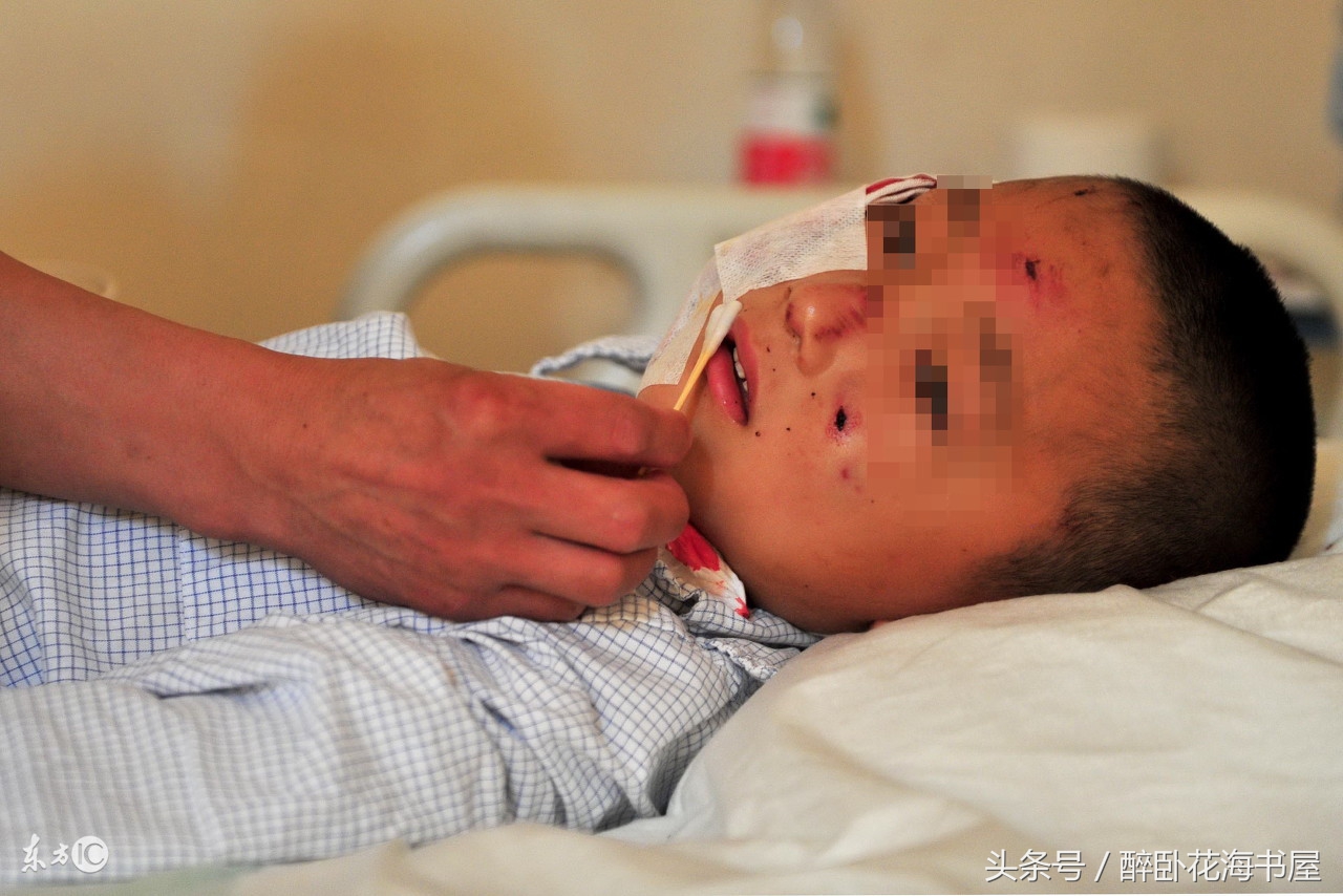 狗狗是人类的好朋友我们要善待他,狗不是人类的朋友只是主人的朋友