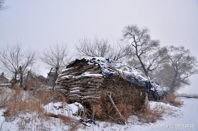 哈尔滨雾凇岛一日游,哈尔滨雪乡雾凇岛攻略