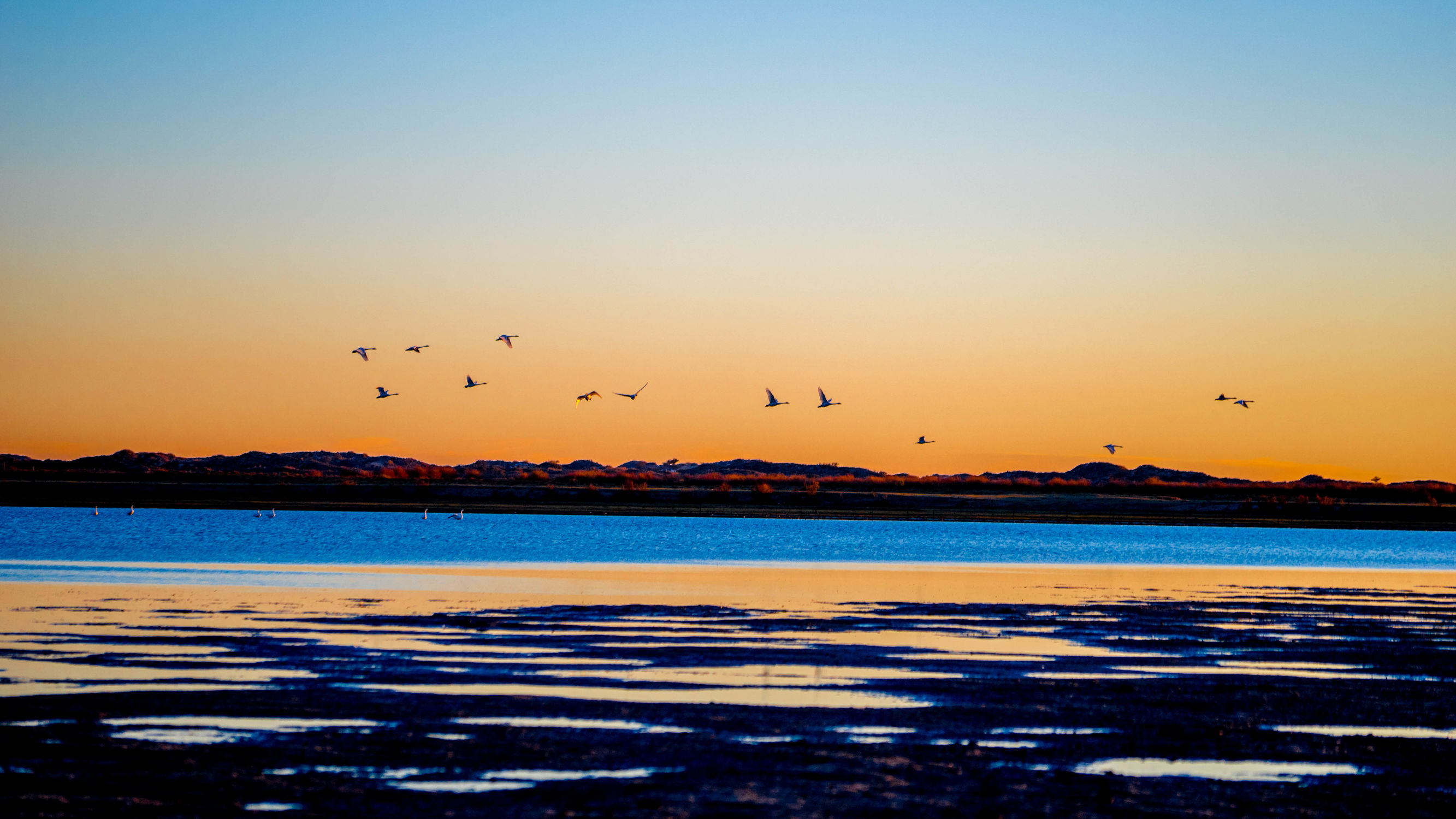 正蓝旗锡林郭勒大草原,正镶白旗天鹅湖