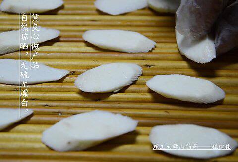 河南理工大学山药哥,程建伟铁棍山药