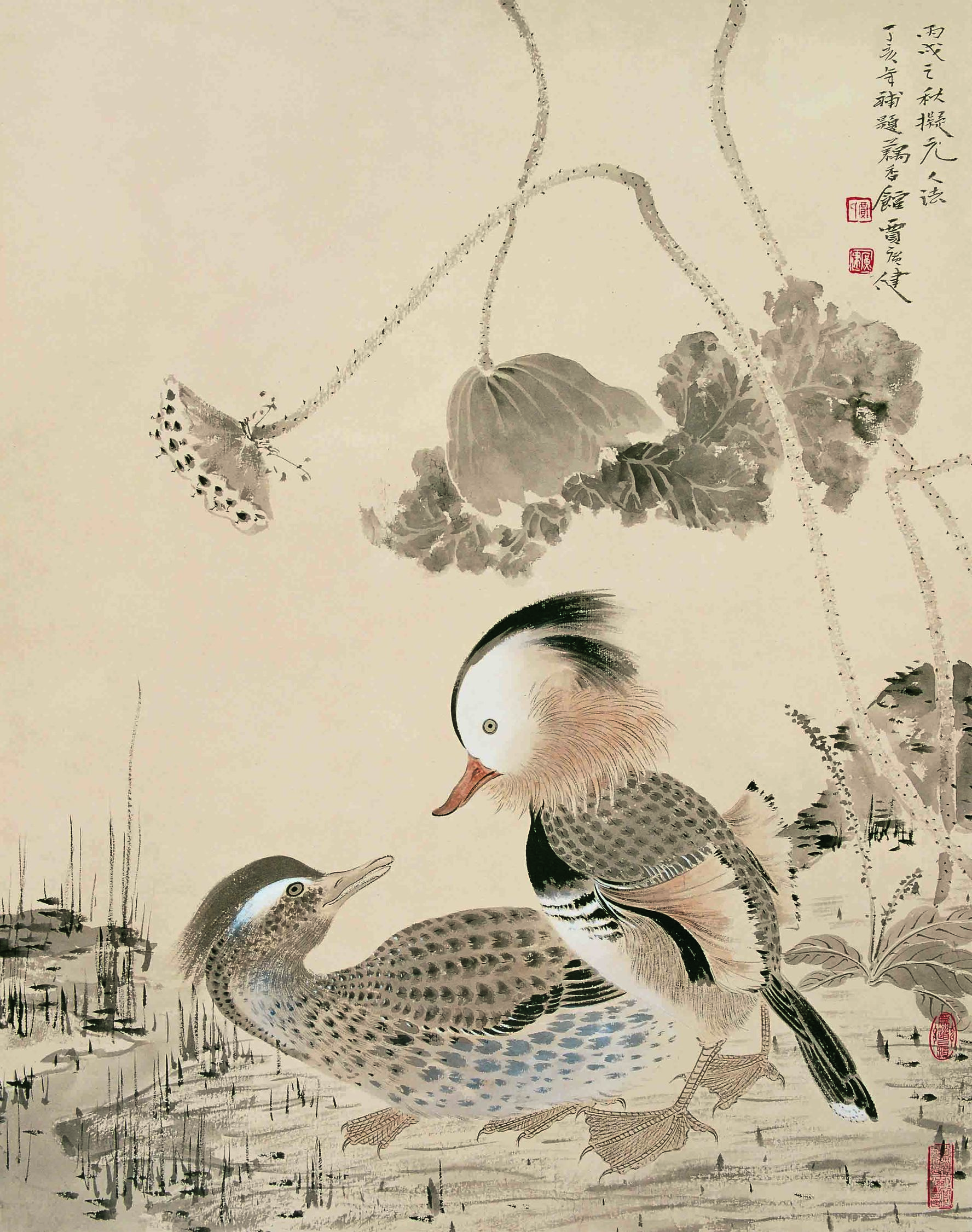 视道如花——贾广健