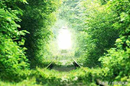 2022浜斾竴鍚堣偉鍏嶈垂鏅尯,鍚堣偉鍏嶈垂鐜╂櫙鍖哄叏鍚嶅崟