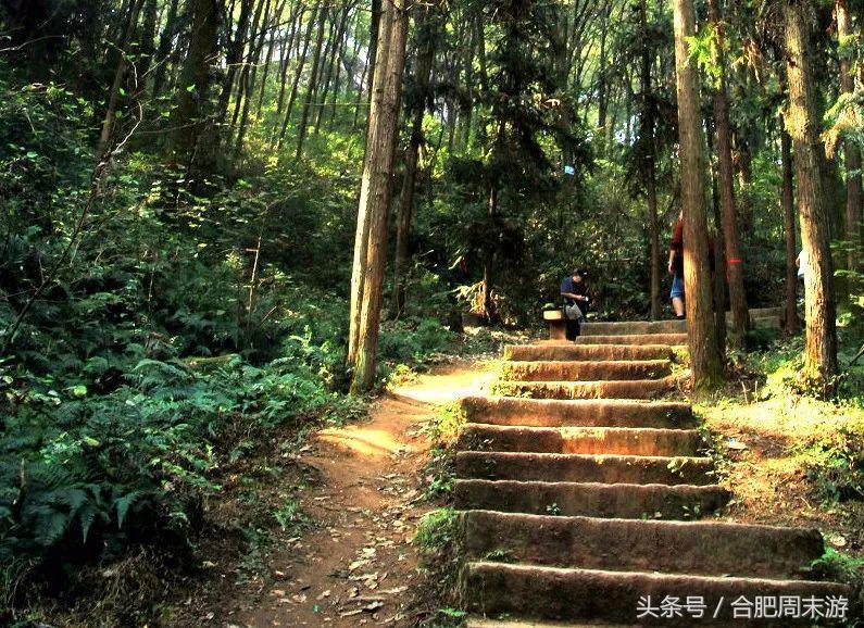 2022浜斾竴鍚堣偉鍏嶈垂鏅尯,鍚堣偉鍏嶈垂鐜╂櫙鍖哄叏鍚嶅崟