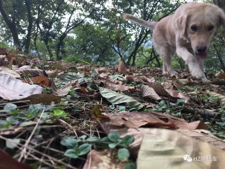 雅马哈700r玩具车,yamaha玩具