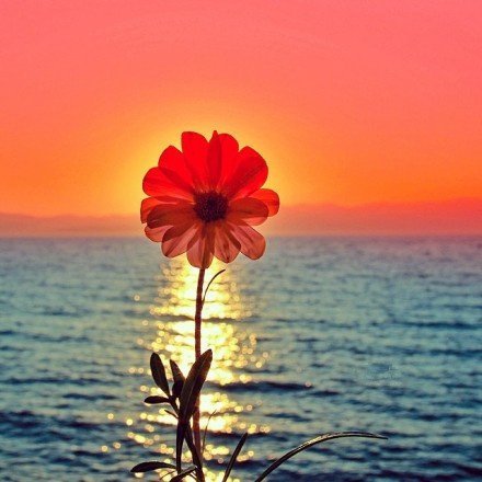 发朋友圈早安语录励志正能量,早安心语适合发朋友圈正能量短句