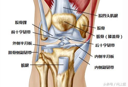 高中生膝盖疼痛的原因和解决方法,爬楼梯膝盖疼痛的原因和解决方法