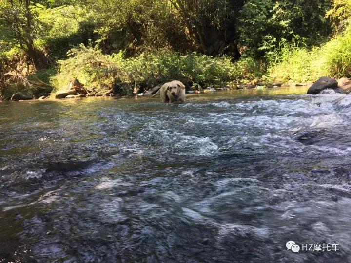 雅马哈700r玩具车,yamaha玩具