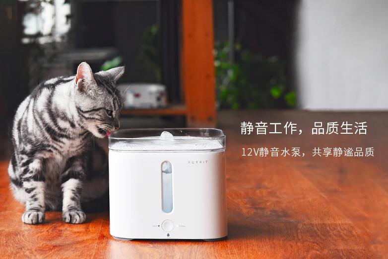 5000元猫,1000块的猫咪厕所