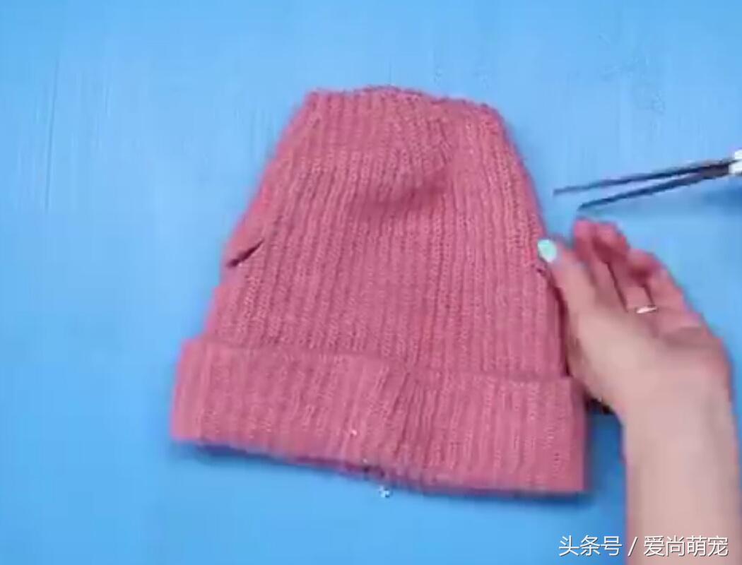 怎么给狗狗自制保暖衣,diy金毛狗狗衣服