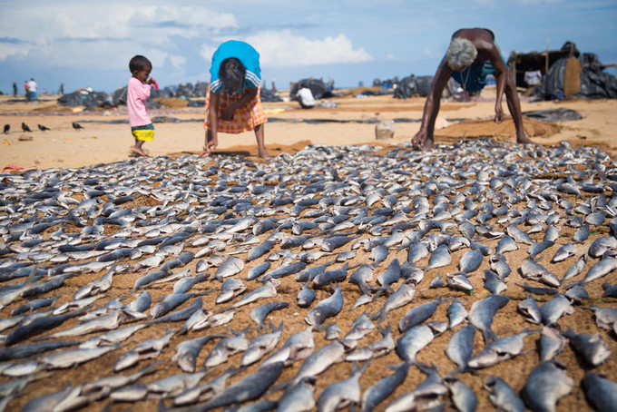 必点海鲜夜市,哪里的夜市海鲜比较多